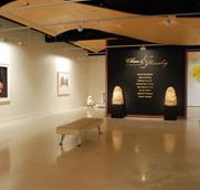 Counihan Gallery In Brunswick - Lightning Ridge Tourism