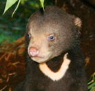 Perth Zoo - Lightning Ridge Tourism