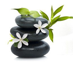 Tea House Spa Sauna - Lightning Ridge Tourism 0