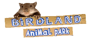 Birdland Animal Park - Lightning Ridge Tourism