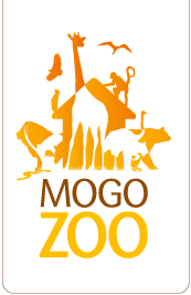 Mogo Zoo - Lightning Ridge Tourism