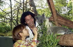 Taronga Zoo - Lightning Ridge Tourism 2
