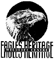 Eagles Heritage - Lightning Ridge Tourism