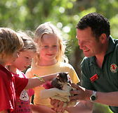 Cleland Wildlife Park - Lightning Ridge Tourism