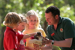 Cleland Wildlife Park - Lightning Ridge Tourism 0