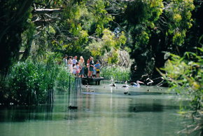 Cleland Wildlife Park - Lightning Ridge Tourism 1