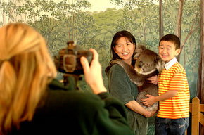Cleland Wildlife Park - Lightning Ridge Tourism 2
