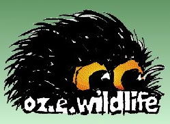 OZe Wildlife - Lightning Ridge Tourism 0