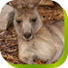 Calmsley Hill City Farm - Lightning Ridge Tourism 0