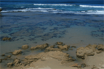 Braddon ACT Lightning Ridge Tourism