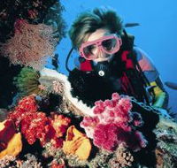 Gold Coast Seaway Dive Site - Lightning Ridge Tourism