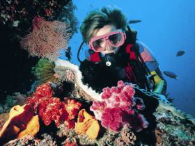 Gold Coast Seaway Dive Site - Lightning Ridge Tourism 0