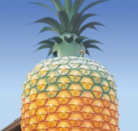 The Big Pineapple - Lightning Ridge Tourism