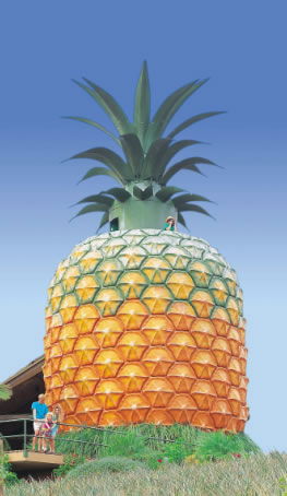 The Big Pineapple - Lightning Ridge Tourism 0