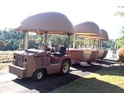 The Big Pineapple - Lightning Ridge Tourism 2