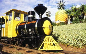 The Big Pineapple - Lightning Ridge Tourism 3