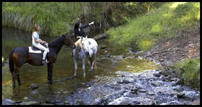 Glenworth Valley Horseriding - Lightning Ridge Tourism 1