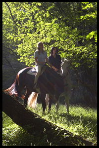 Glenworth Valley Horseriding - Lightning Ridge Tourism 2