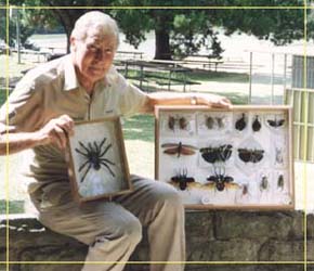 Butterfly Farm - Lightning Ridge Tourism 1