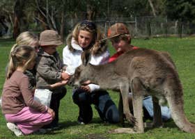 Gumbuya Park - Lightning Ridge Tourism 1
