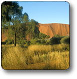 Mount Liebig NT Lightning Ridge Tourism