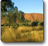 Uluru - Kata Tjuta National Park - Lightning Ridge Tourism