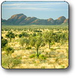 Uluru - Kata Tjuta National Park - Lightning Ridge Tourism 2