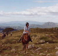 High Country Horses - Lightning Ridge Tourism