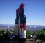 Mount Tamborine Winery  Homestead - Lightning Ridge Tourism