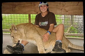 Cairns Wildlife Safari Reserve - Lightning Ridge Tourism 1