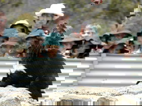 Tasmania Zoo - Lightning Ridge Tourism 0