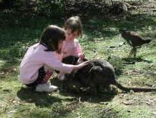 Urimbirra Wildlife Park - Lightning Ridge Tourism 1