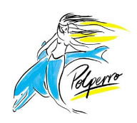 Polperro Dolphin Swims - Lightning Ridge Tourism 0