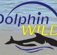 Dolphin Wild - Lightning Ridge Tourism