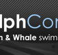 Dolphcom - Dolphin  Whale Swimming Adventures - Lightning Ridge Tourism