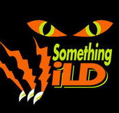 Something Wild - Lightning Ridge Tourism