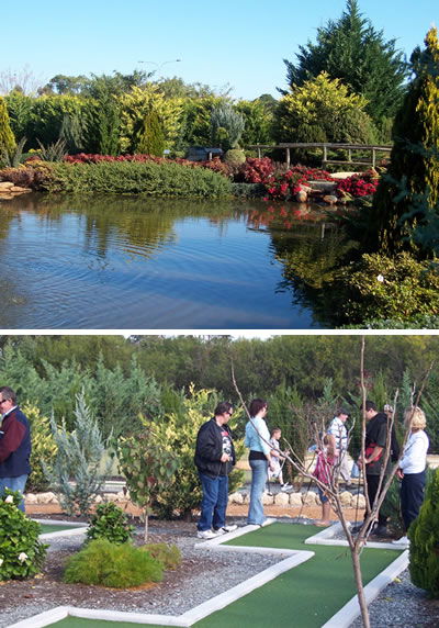 Abingdon Miniature Village - Lightning Ridge Tourism 2