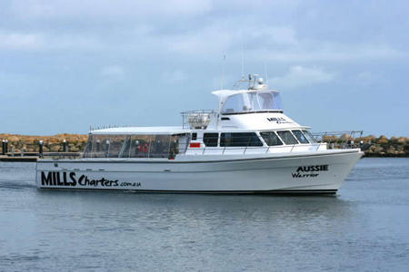 Mills Charters Fishing And Whale Watch Cruises - Lightning Ridge Tourism 1