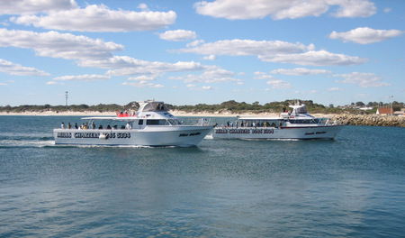 Mills Charters Fishing And Whale Watch Cruises - Lightning Ridge Tourism 2