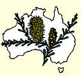 Australian National Botanic Gardens - Lightning Ridge Tourism