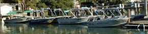 Brooklyn Central Boat Hire & General Store - Lightning Ridge Tourism 1