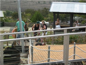  Lightning Ridge Tourism