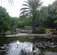 Brisbane City Botanic Gardens - Lightning Ridge Tourism