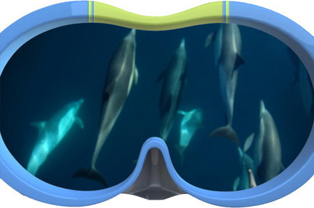 Dolphin Swim Australia - Lightning Ridge Tourism 3