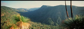 Lamington National Park And OReillys - Lightning Ridge Tourism 1