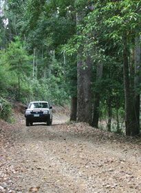 Lamington National Park And OReillys - Lightning Ridge Tourism 2
