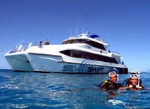 Silver Swift - Lightning Ridge Tourism 0