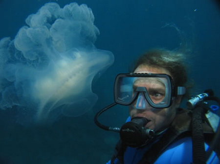 Silver Swift - Lightning Ridge Tourism 2