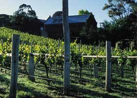 Goona Warra Vineyard - Lightning Ridge Tourism 1