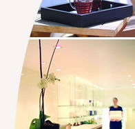 Lyall Hotel and Spa - Lightning Ridge Tourism